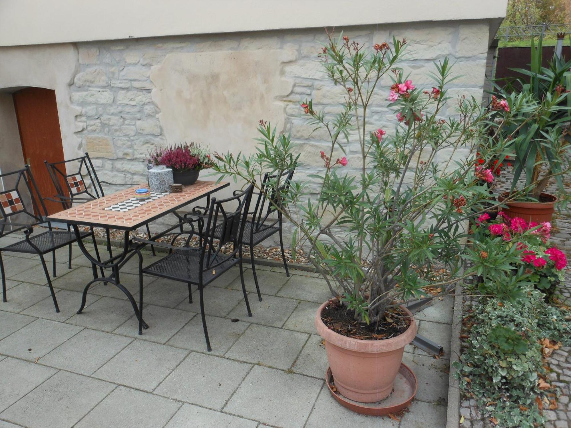 Pension Am Werder Bernburg Exterior photo